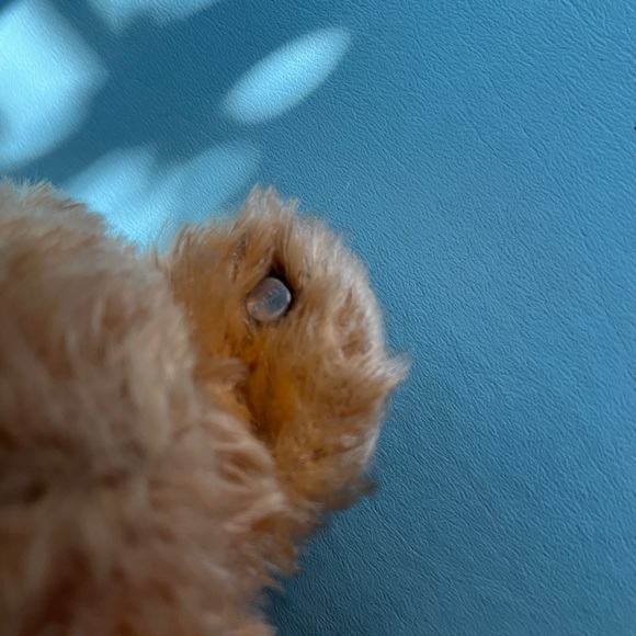 Antique Steiff Teddy Bear Blonde Mohair - Rare Excellent Condition - Picture 11 of 15